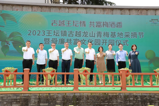 古越龙山牵手绍兴柯桥王坛镇 青梅酒香品舜廉共富