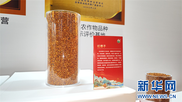 从茅台红缨子公司市场工作会 看“酱酒芯片”快速迭代