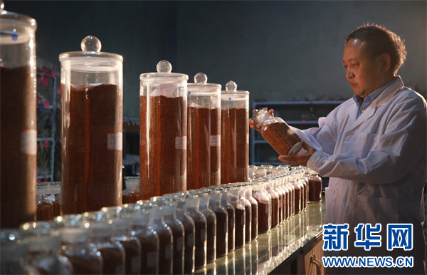 从茅台红缨子公司市场工作会 看“酱酒芯片”快速迭代