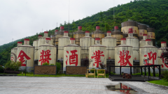 汪洪彬：金酱的“小有成就”，源于更主动、更提前