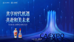<b>共享时代机遇，五粮液再度亮相第19届中国-东盟博览会</b>